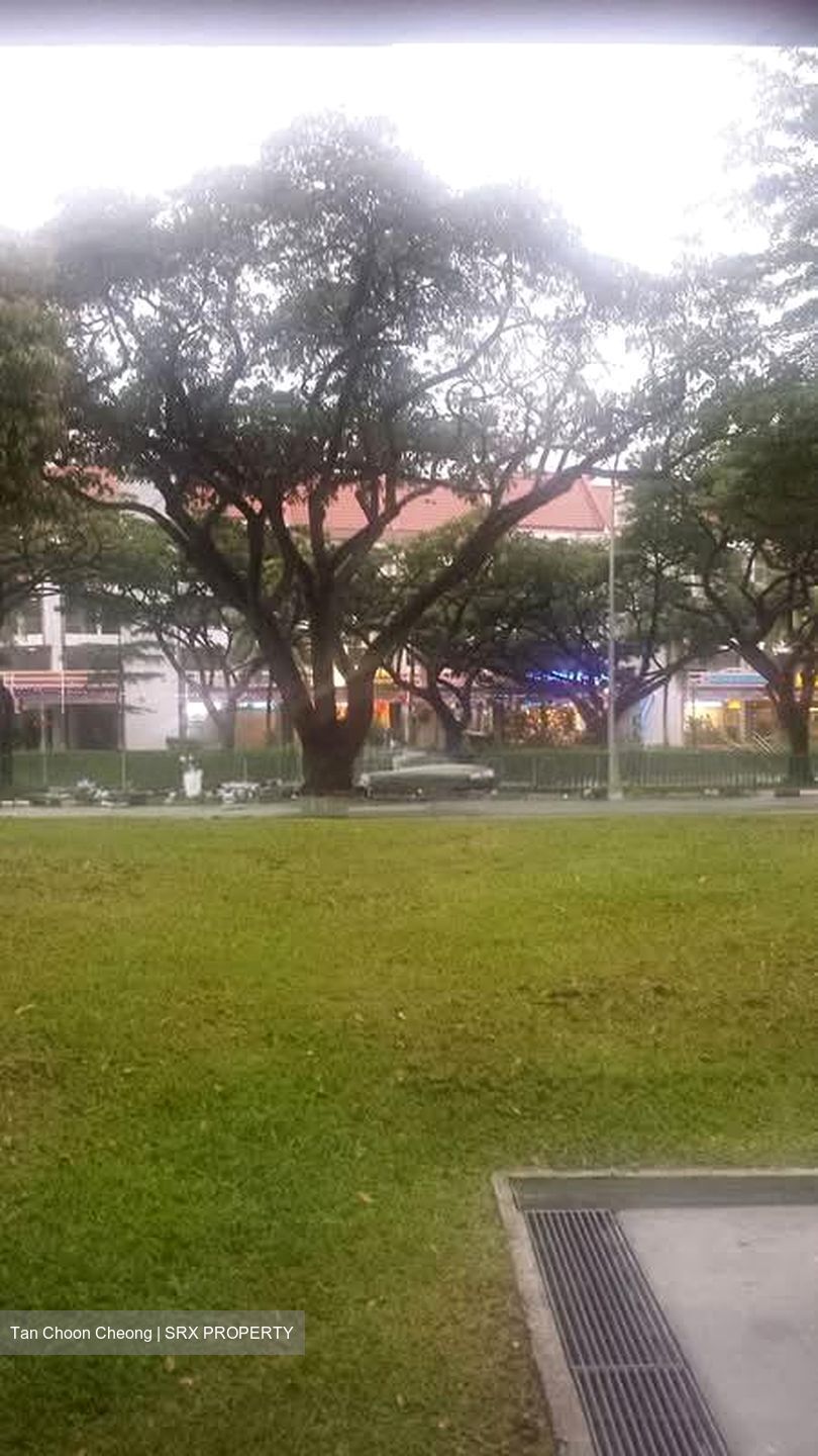 Blk 68 Geylang Bahru Ville (Kallang/Whampoa), HDB 3 Rooms #589849661